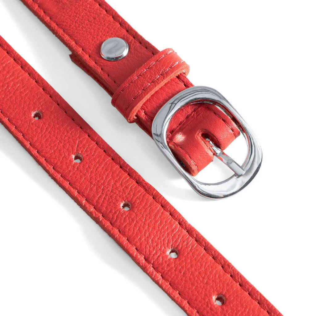 Belts / 16130 - Red