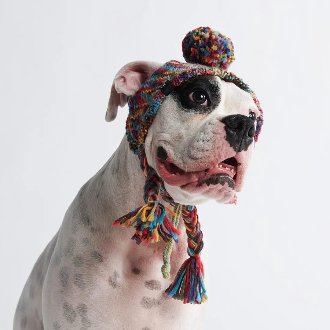 Knit Pom Pom Dog Beanie Hats