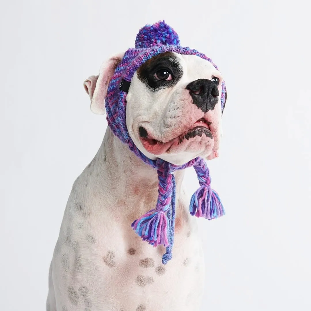 Knit Pom Pom Dog Beanie Hats