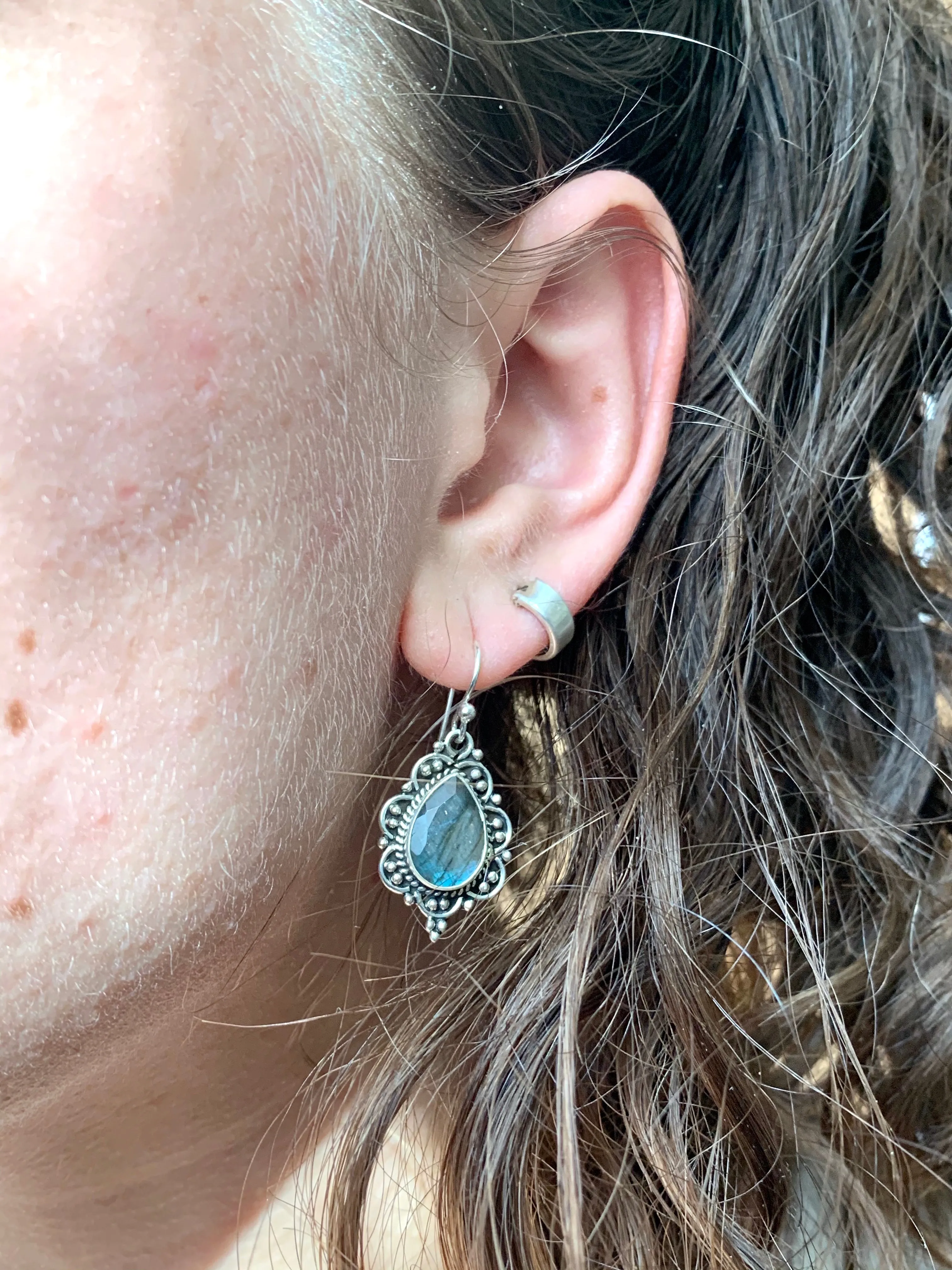 Labradorite Nissa Earrings - Faceted Drop