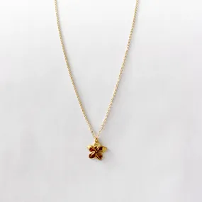 Star Plumeria Necklace