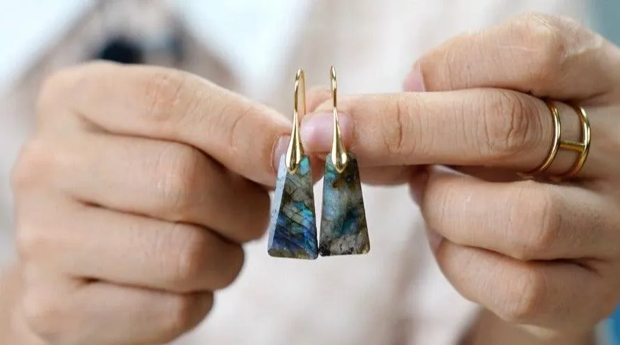 Wiluray Labradorite Drop Earrings